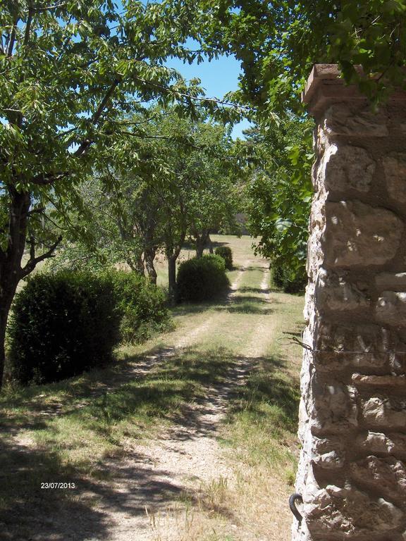 Agriturismo Il Palazzetto Appartement Campello sul Clitunno Buitenkant foto